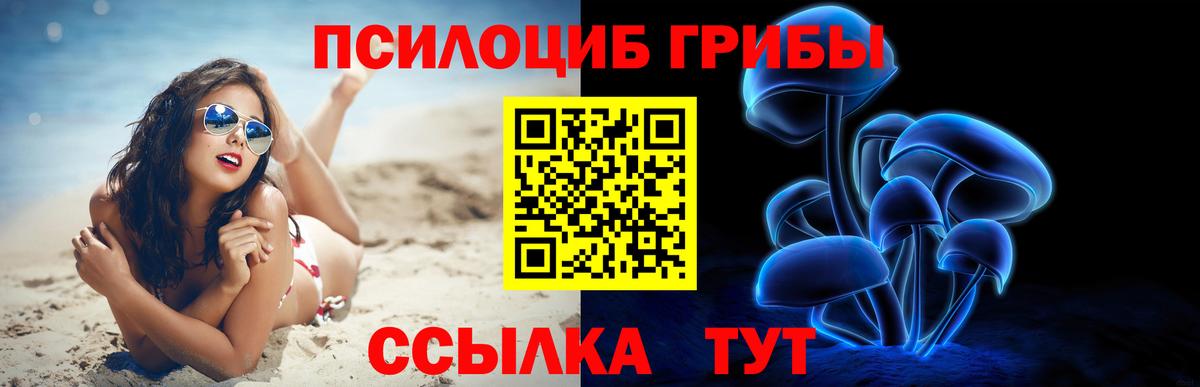 Галлюциногенные грибы Psilocybine cubensis Муром